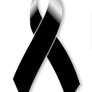 Meet your Posher, Javier estevan